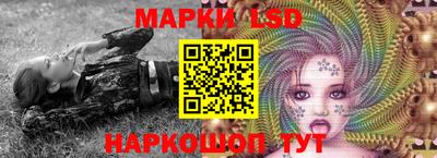 трава Камышлов