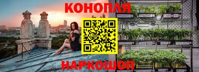 трава Камышлов