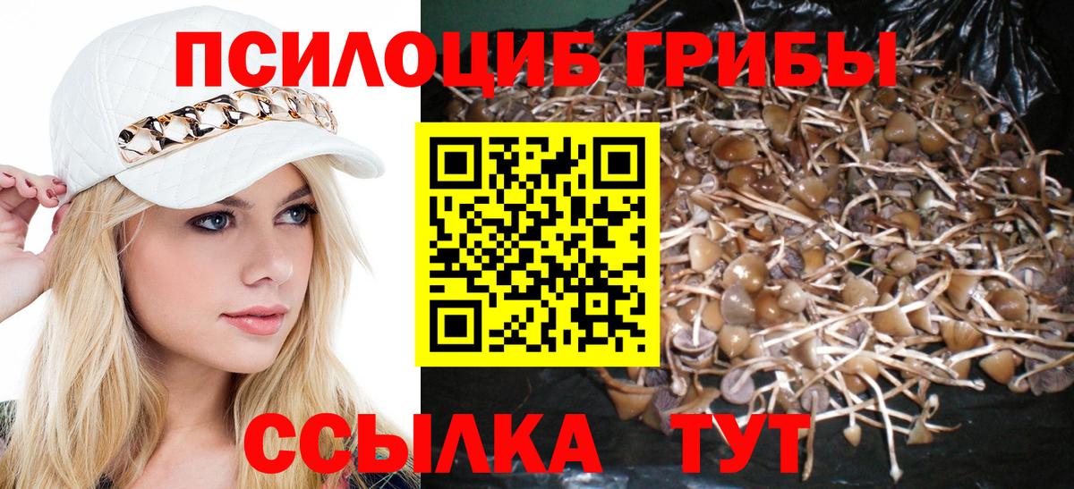Галлюциногенные грибы прущие грибы Краснодар
